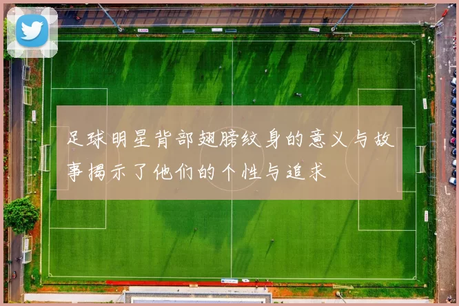 足球明星背部翅膀纹身的意义与故事揭示了他们的个性与追求