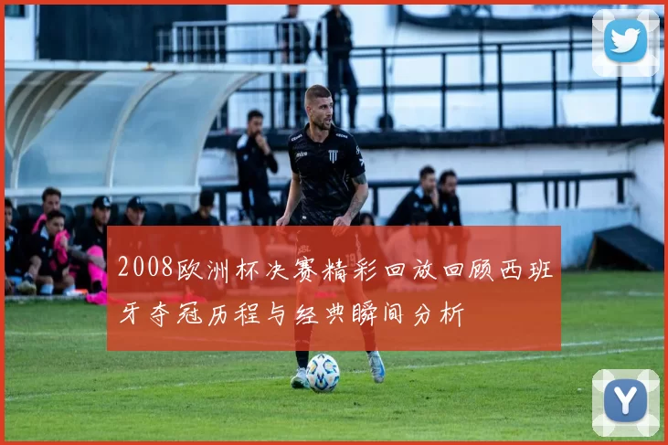 2008欧洲杯决赛精彩回放回顾西班牙夺冠历程与经典瞬间分析