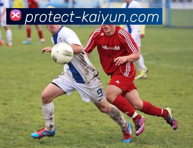 kaiyun.com服务体系